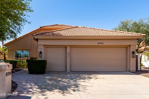 10709 E CHAMPAGNE Drive Sun Lakes AZ 85248