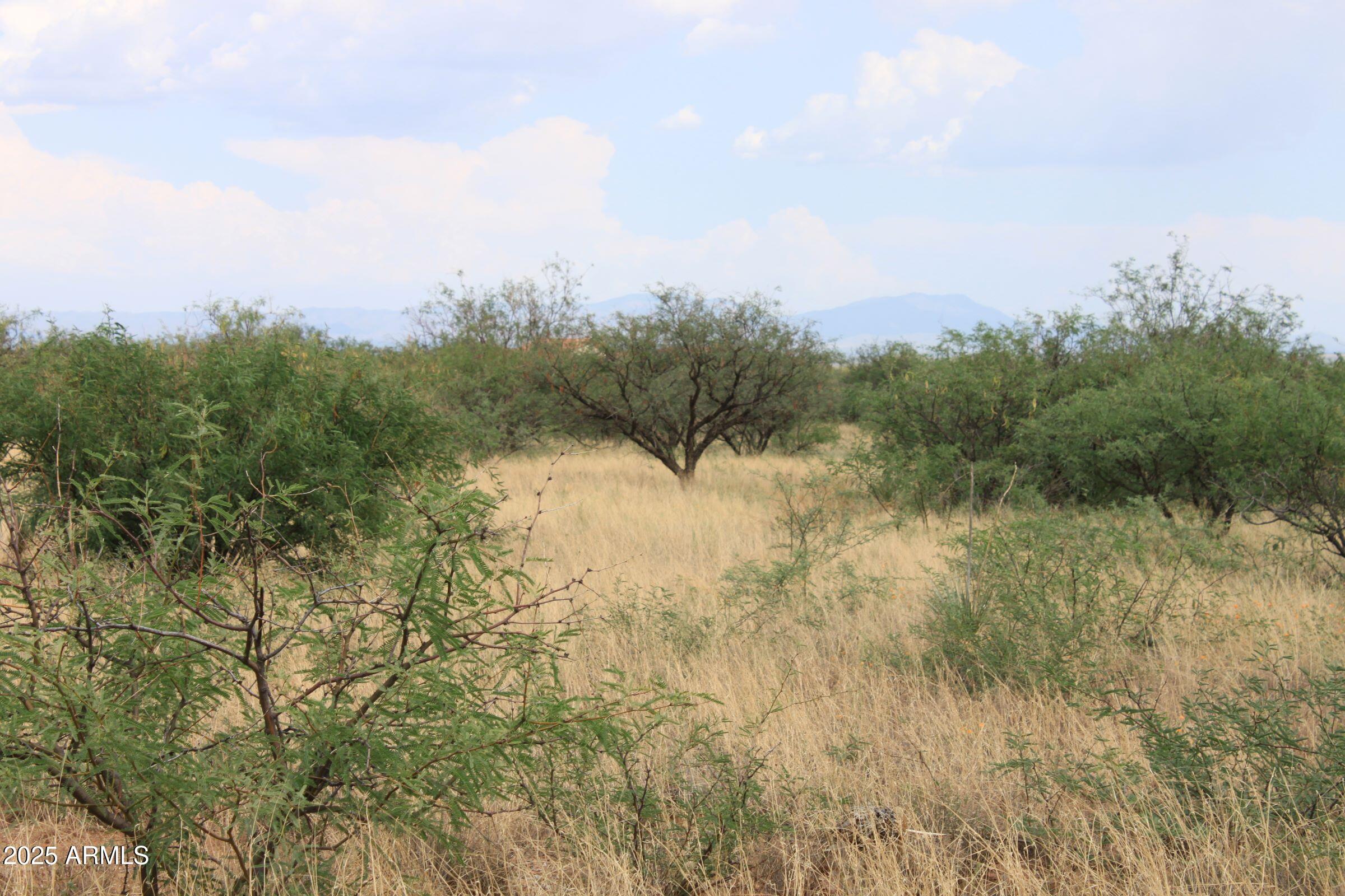 019B Copper Sky Road 6