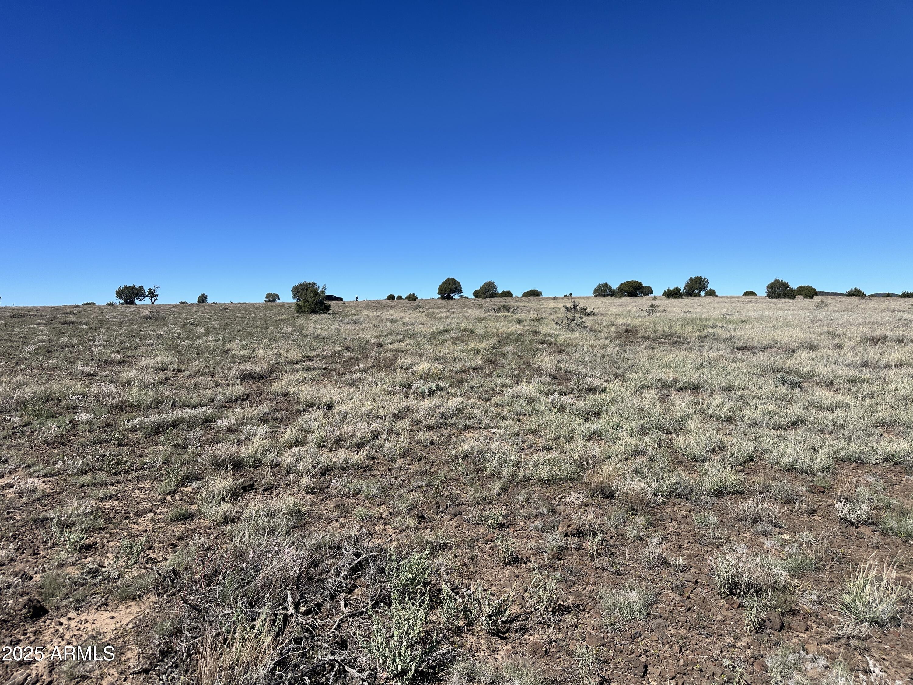 JUNIPERWOOD RANCH UNIT 11 - Land