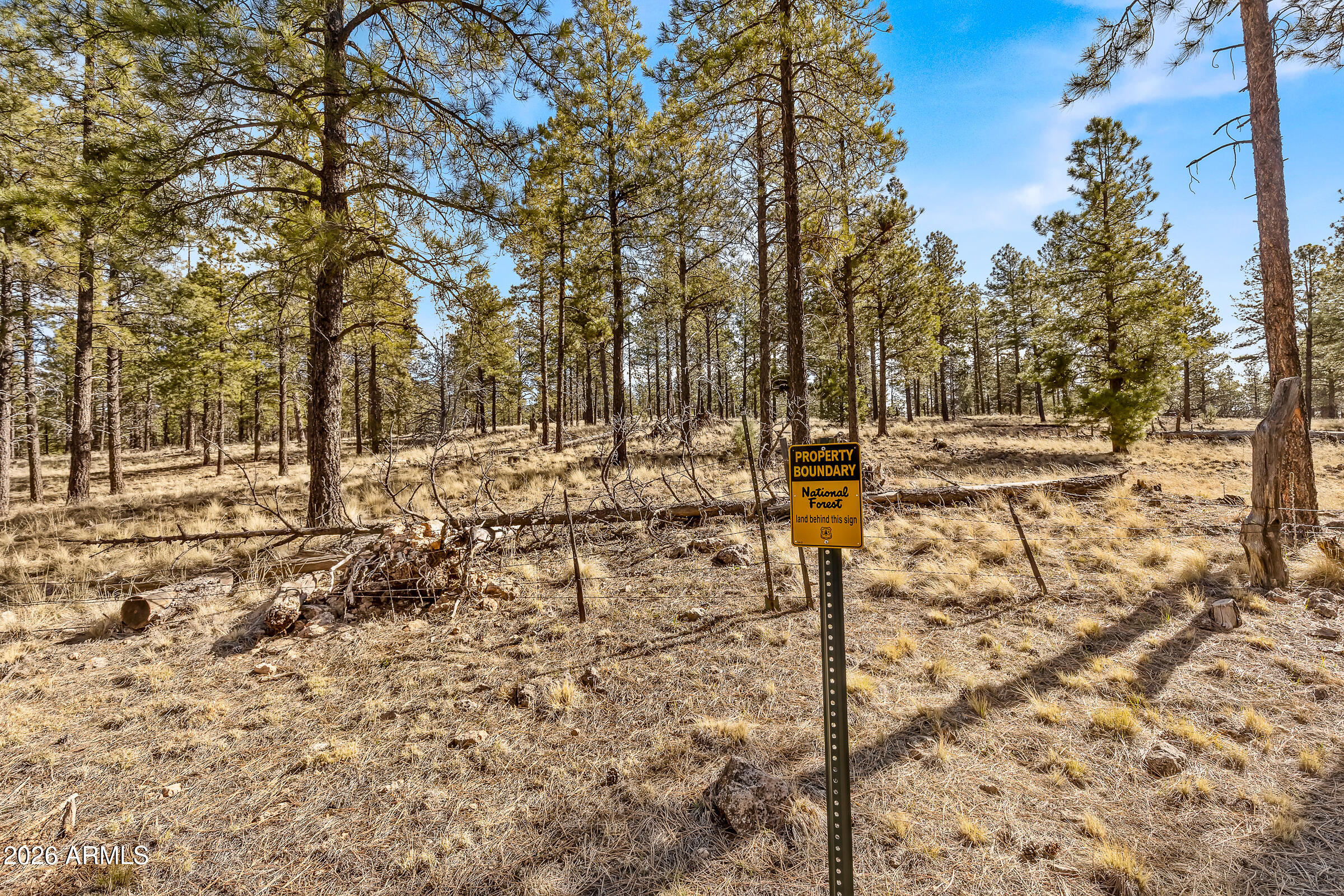 Estates At Pine Canyon - Land