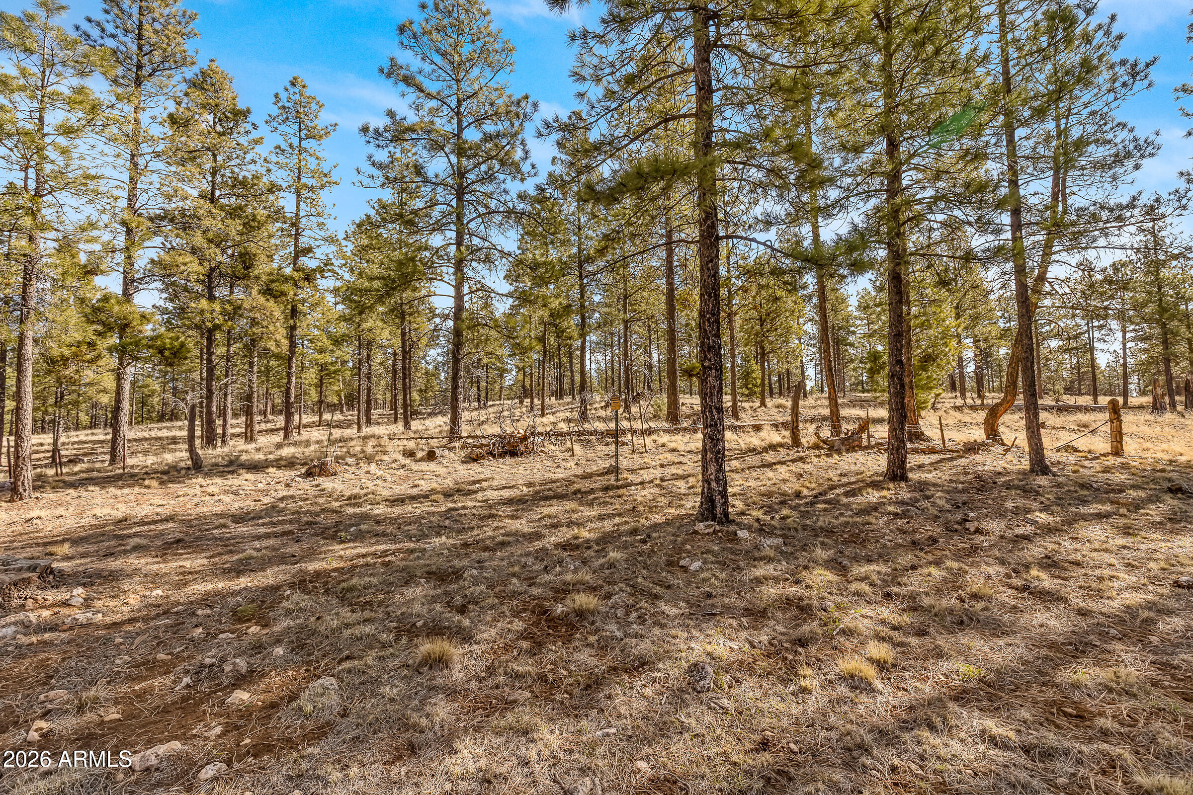 Estates At Pine Canyon - Land