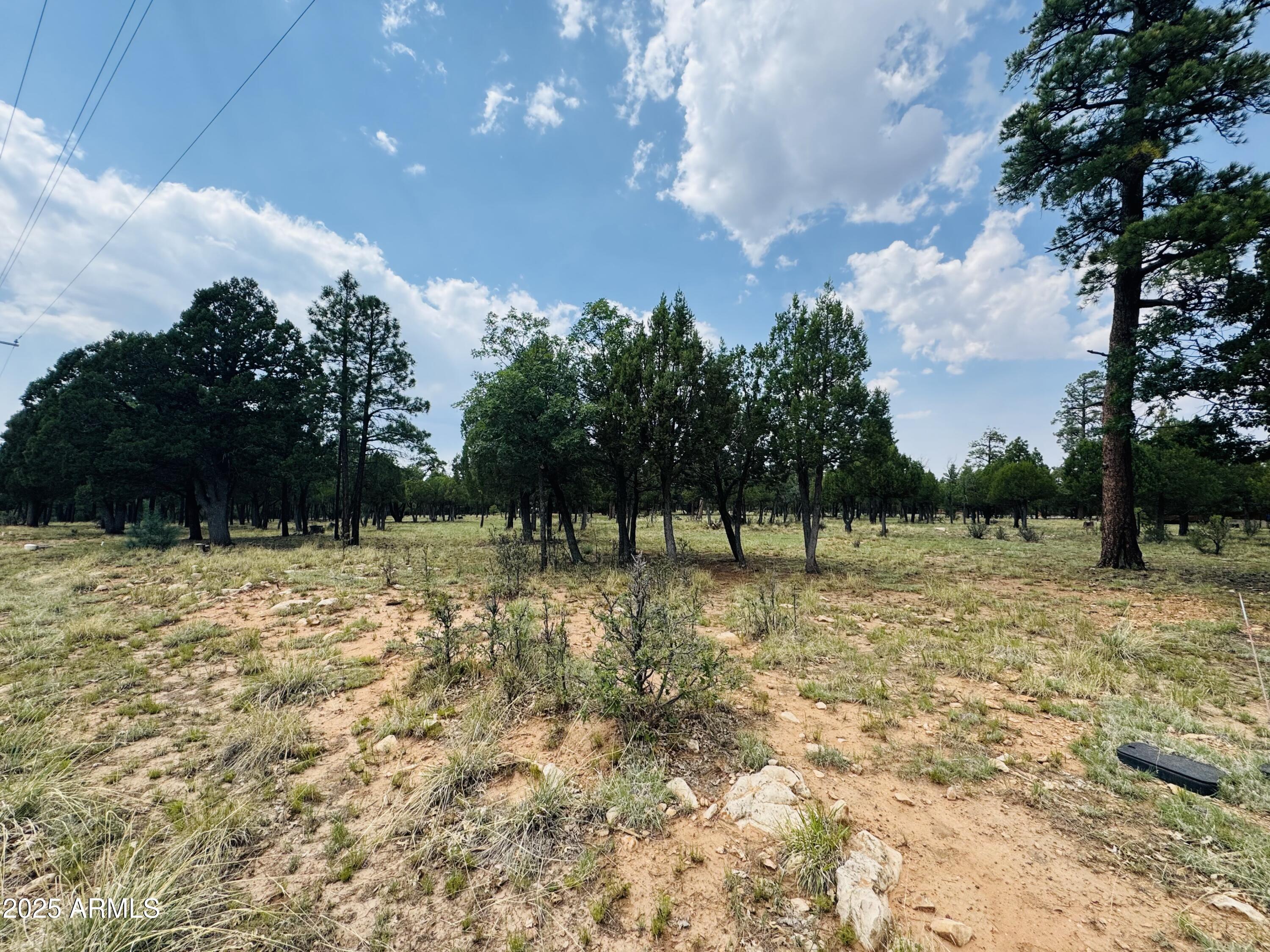 3266 DURANGO Drive 5