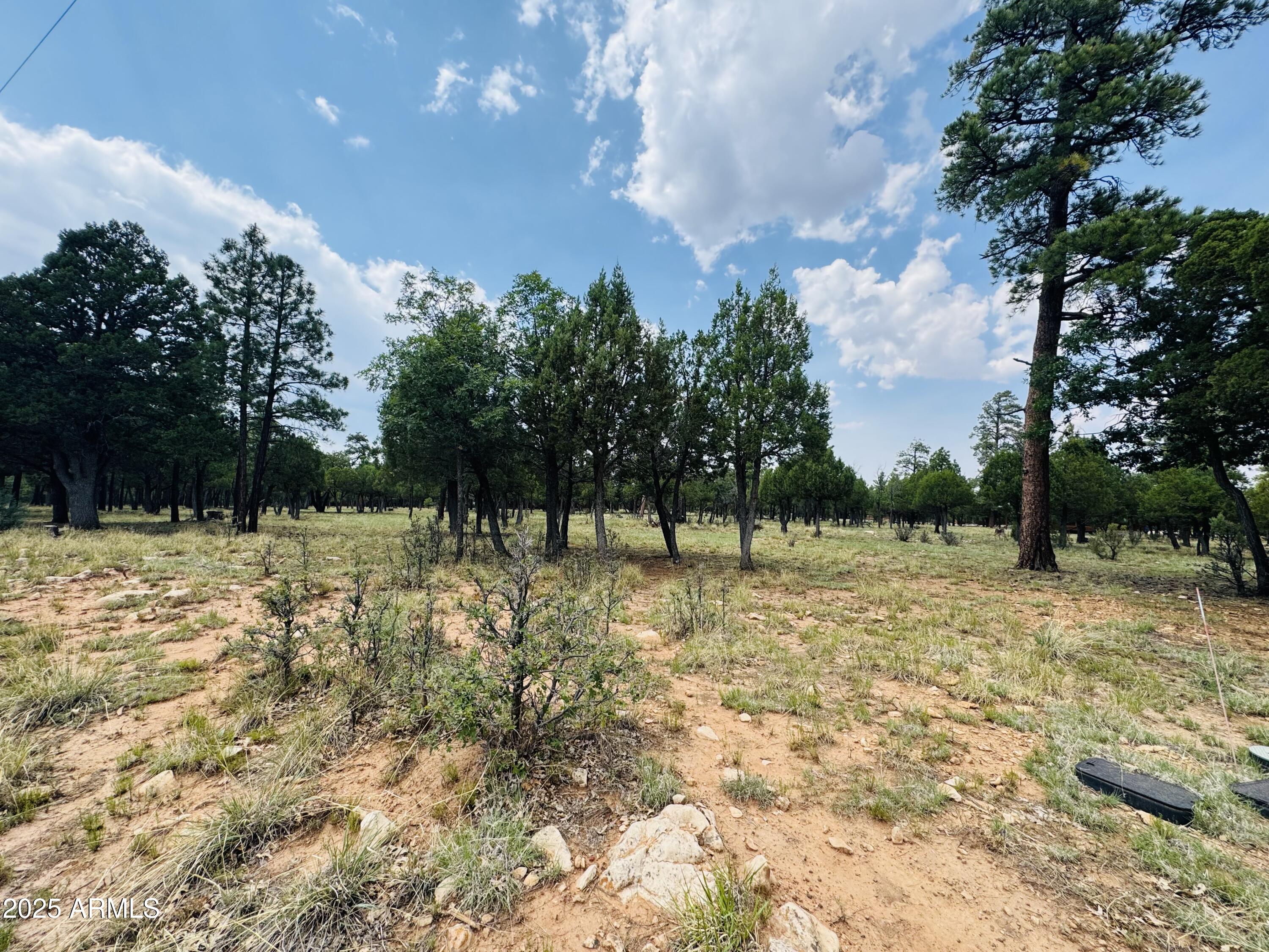 3266 DURANGO Drive 5