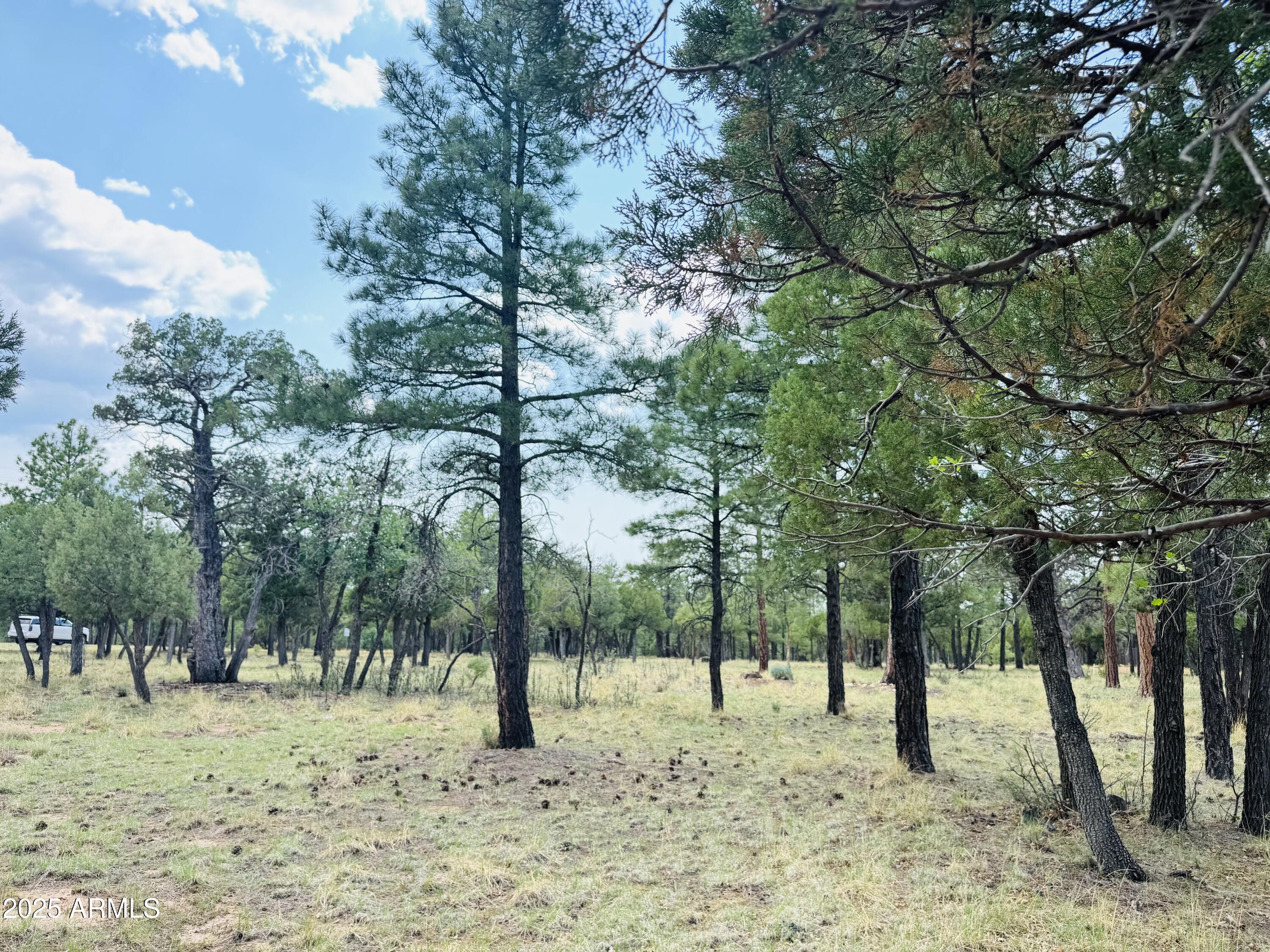 3266 DURANGO Drive 5