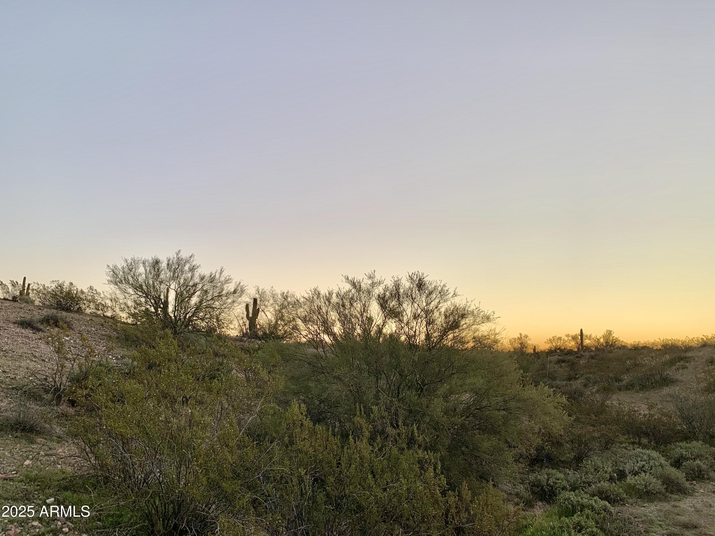 XX N Japanese Garden Court G