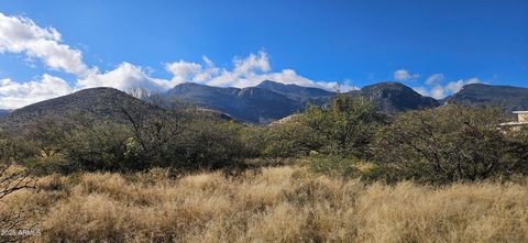 .83 Acres Stephanie Place - Hereford AZ 85615