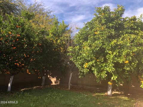 A home in Phoenix