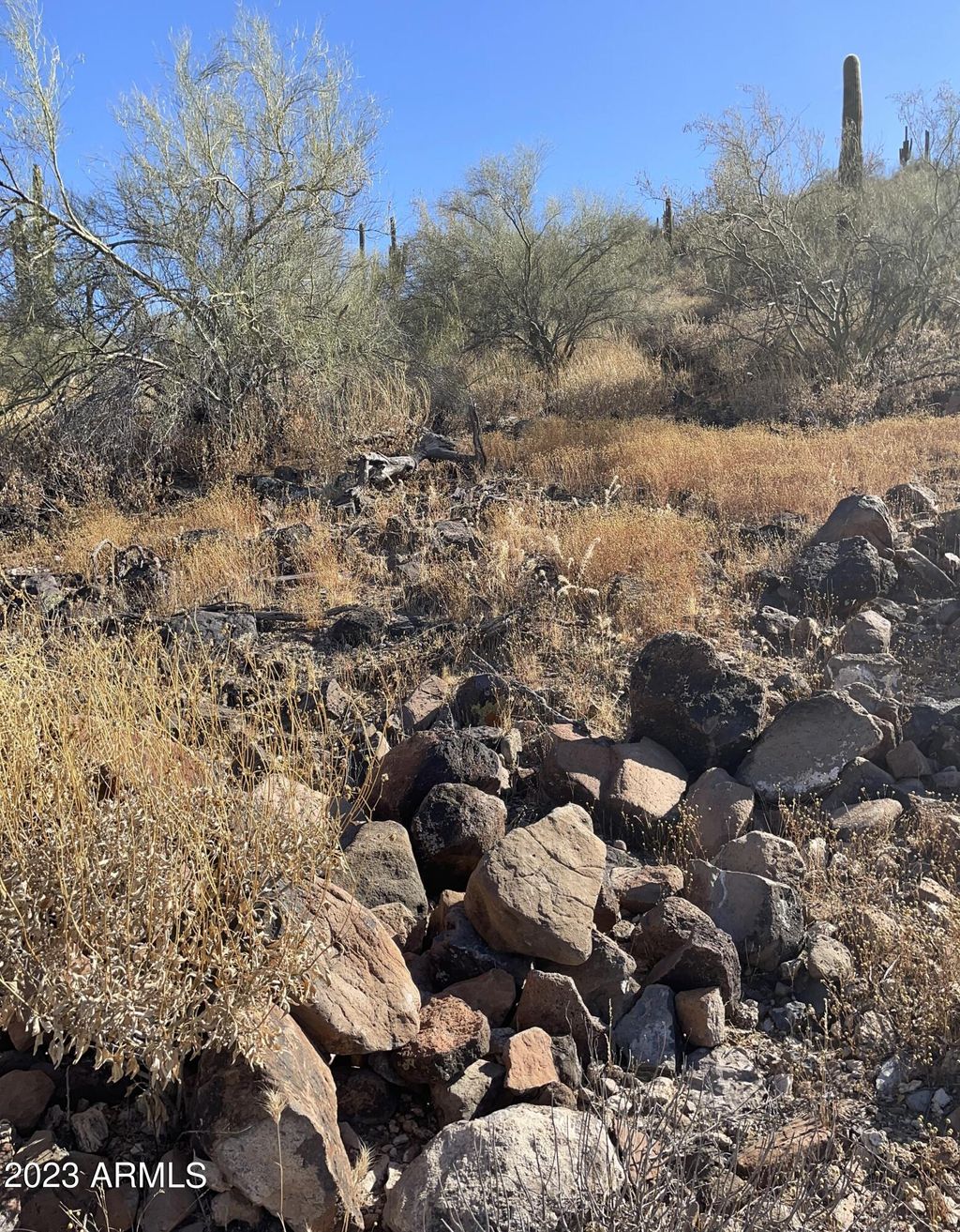 Photo of 37820 N 31st Avenue #C, Phoenix, AZ 85086 (MLS # 6523644)