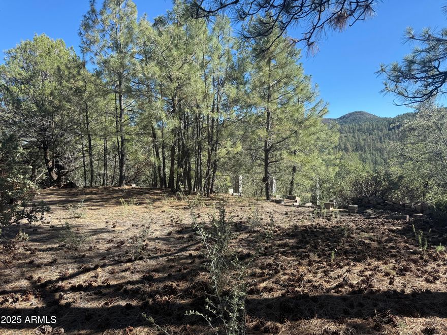 Looking for a secluded parcel with amazing views and tall pines? Look no further, this is a great panel to build your own custom Crown King cabin! Excellent location, bordering Prescott National Forest. Very secluded with few neighbors nearby and gated. Electricity nearby at the neighboring cabin. Driveway installed and small building pad. Seasonal creek nearby. Driveway will require 4 wheel drive.