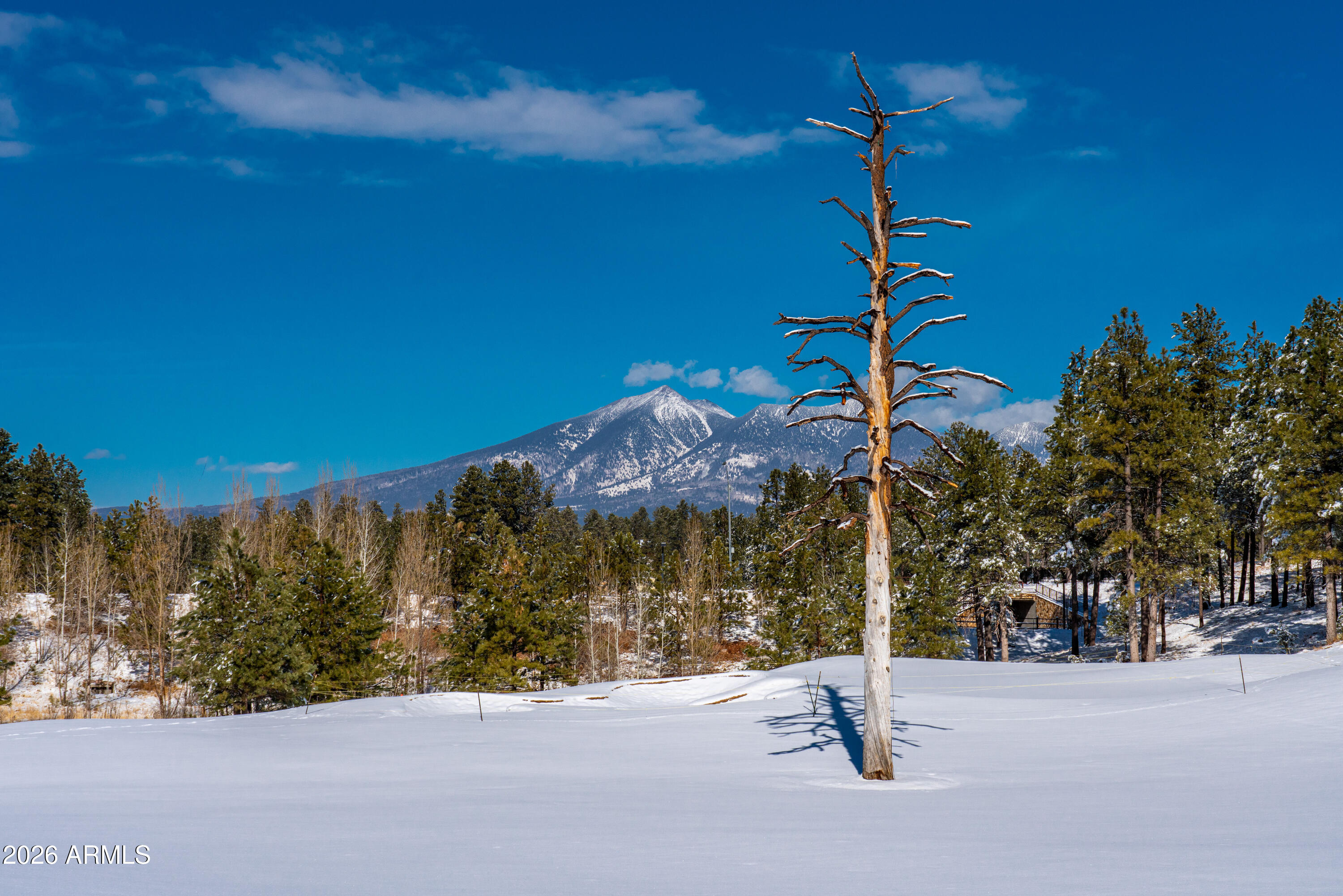 ESTATES AT PINE CANYON - Residential