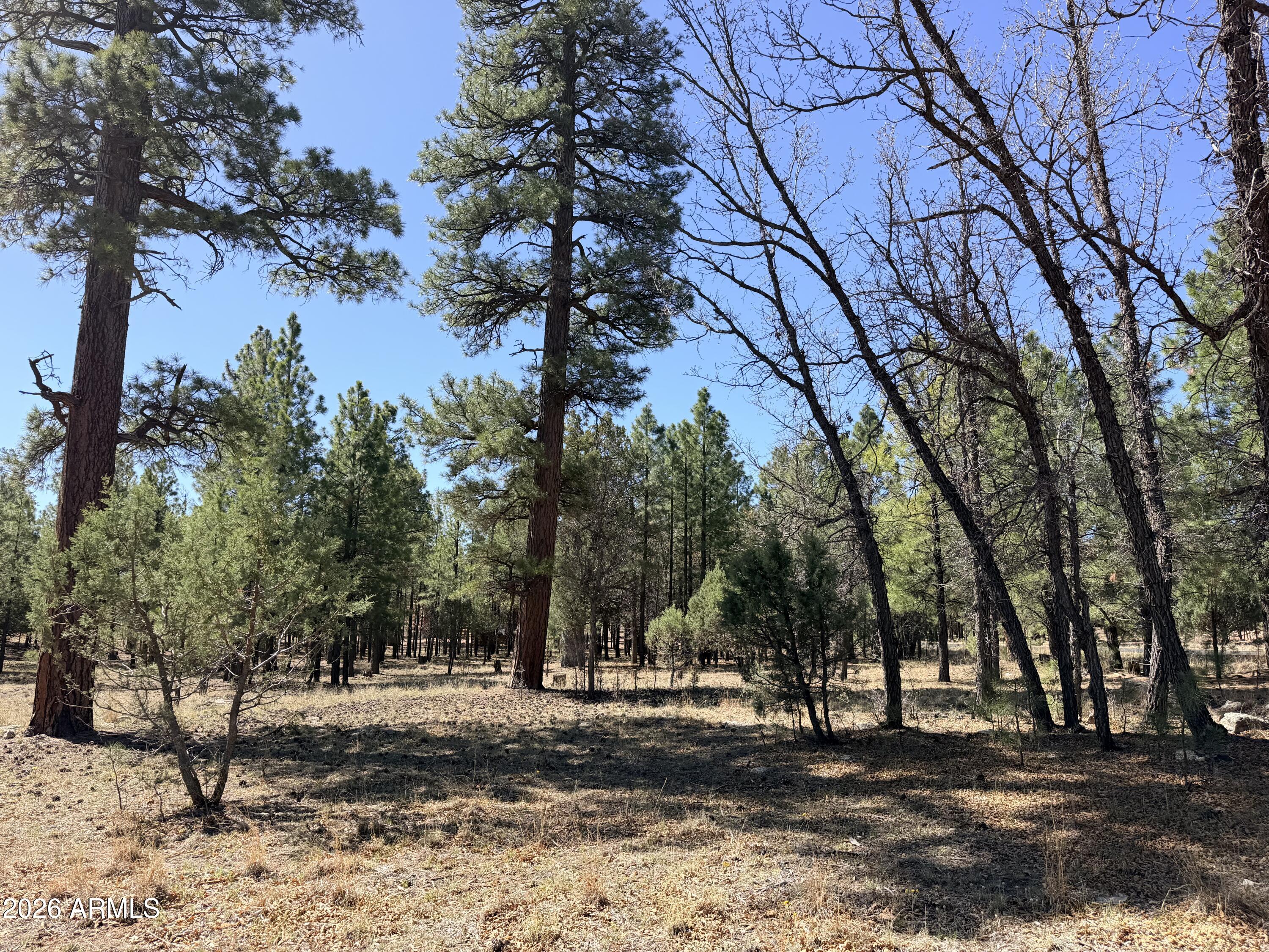 1755 SUGAR PINE Drive 232