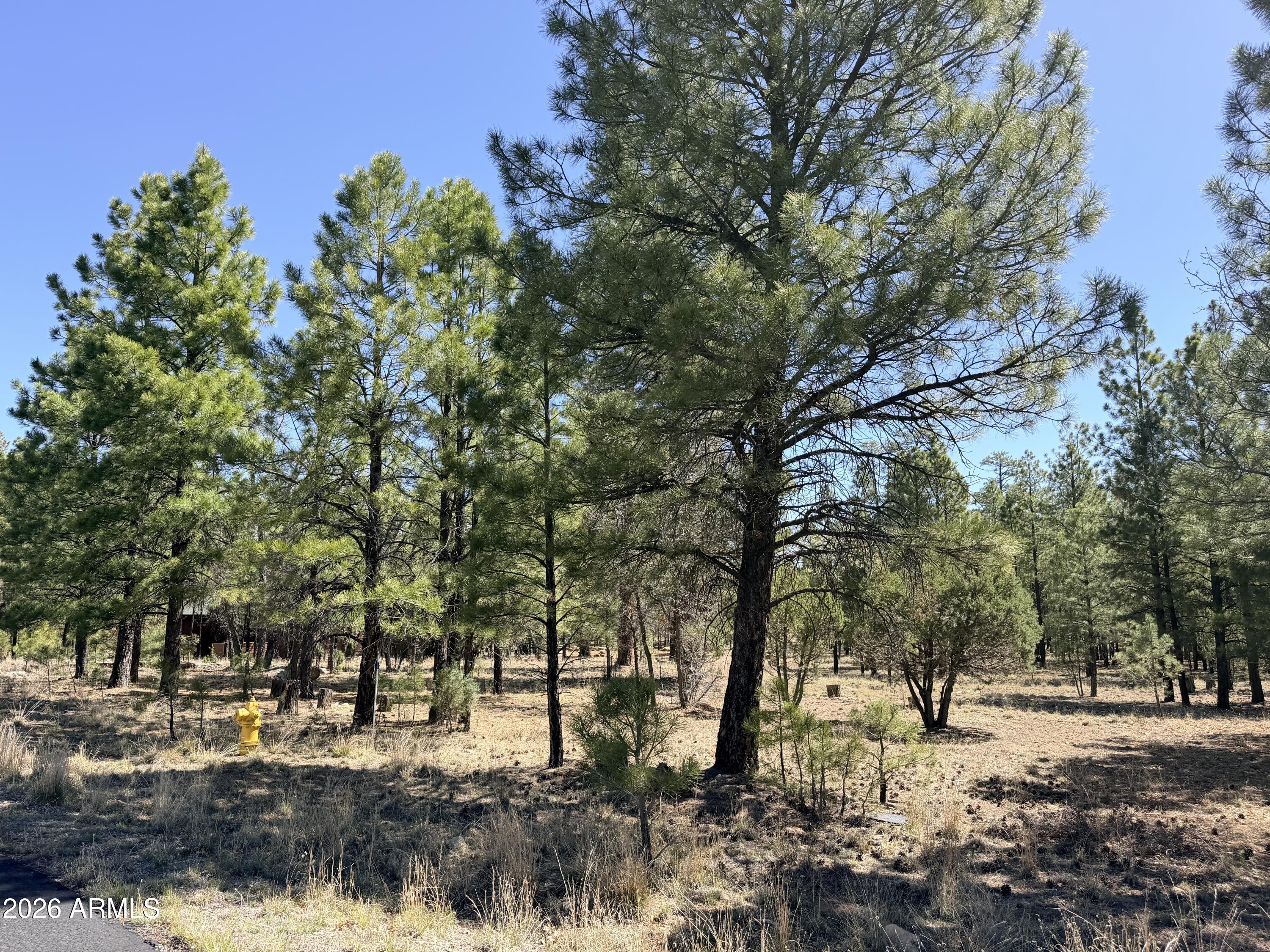 PINE CANYON 3 - Land