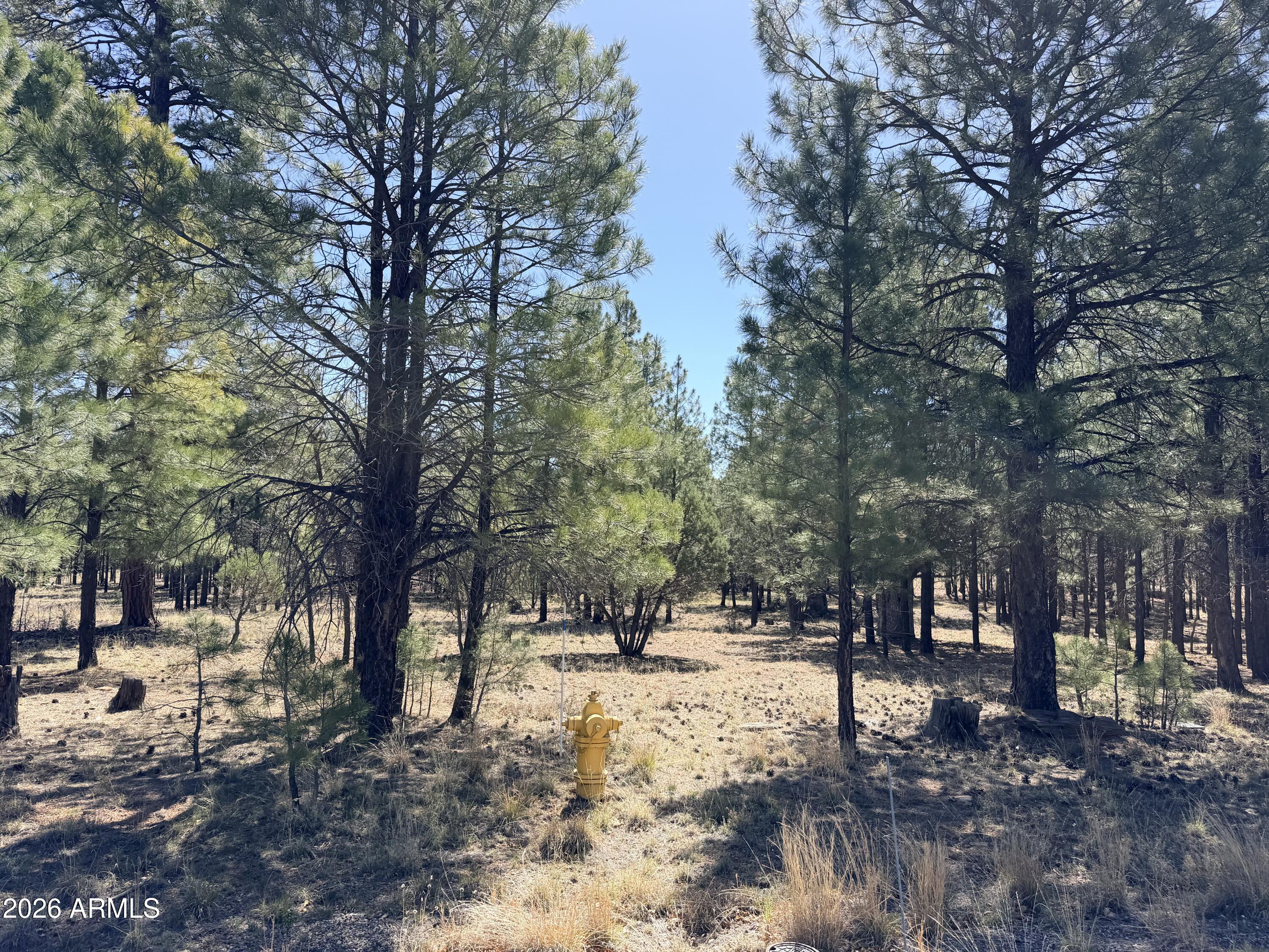 1755 SUGAR PINE Drive 232