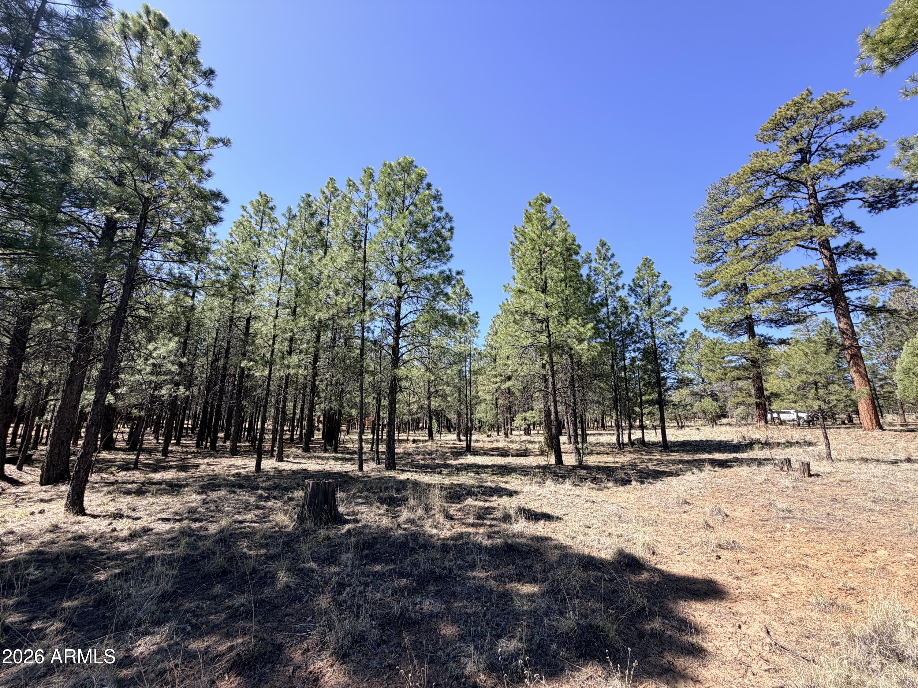 PINE CANYON 3 - Land