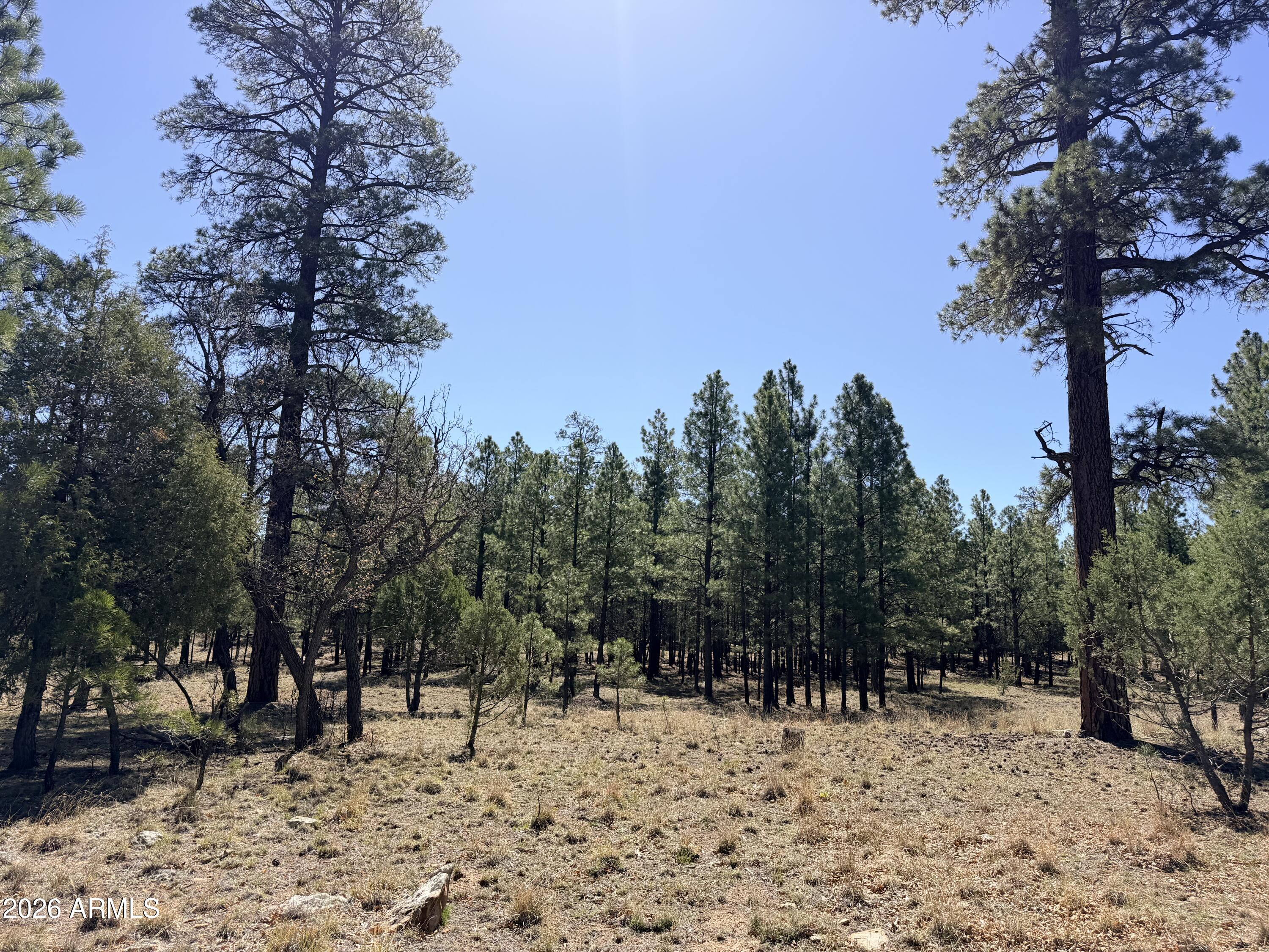 PINE CANYON 3 - Land