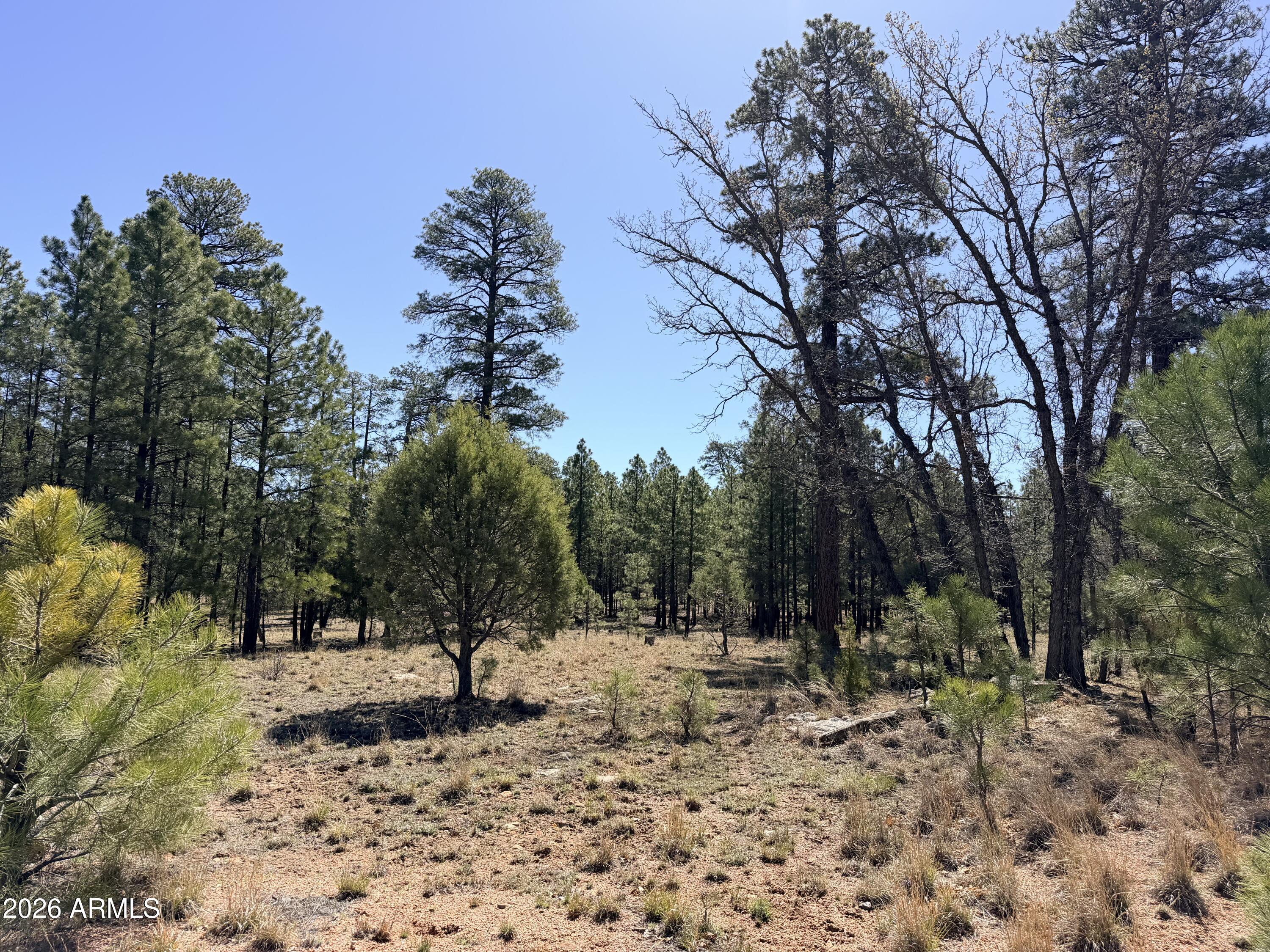 PINE CANYON 3 - Land