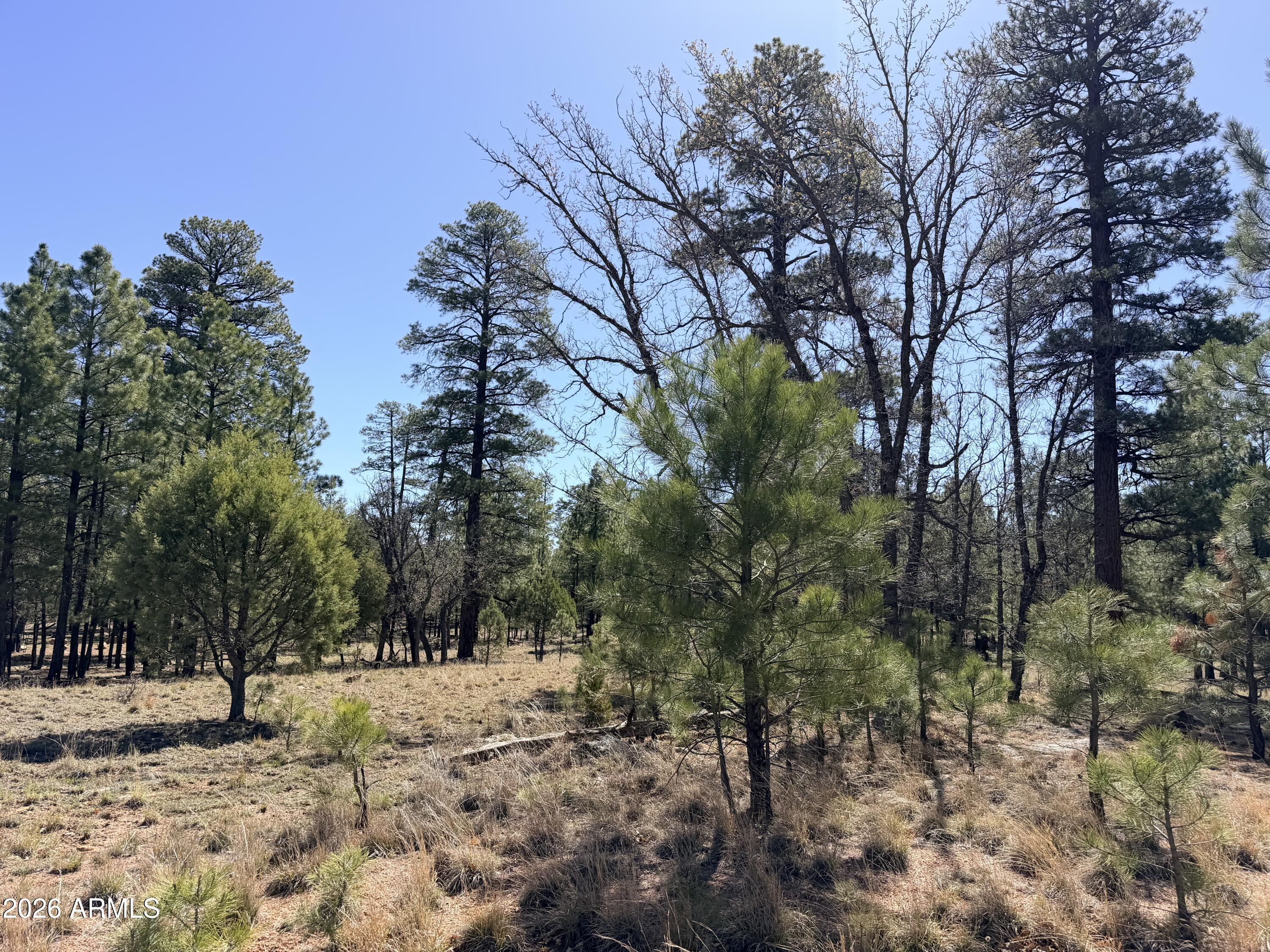 PINE CANYON 3 - Land