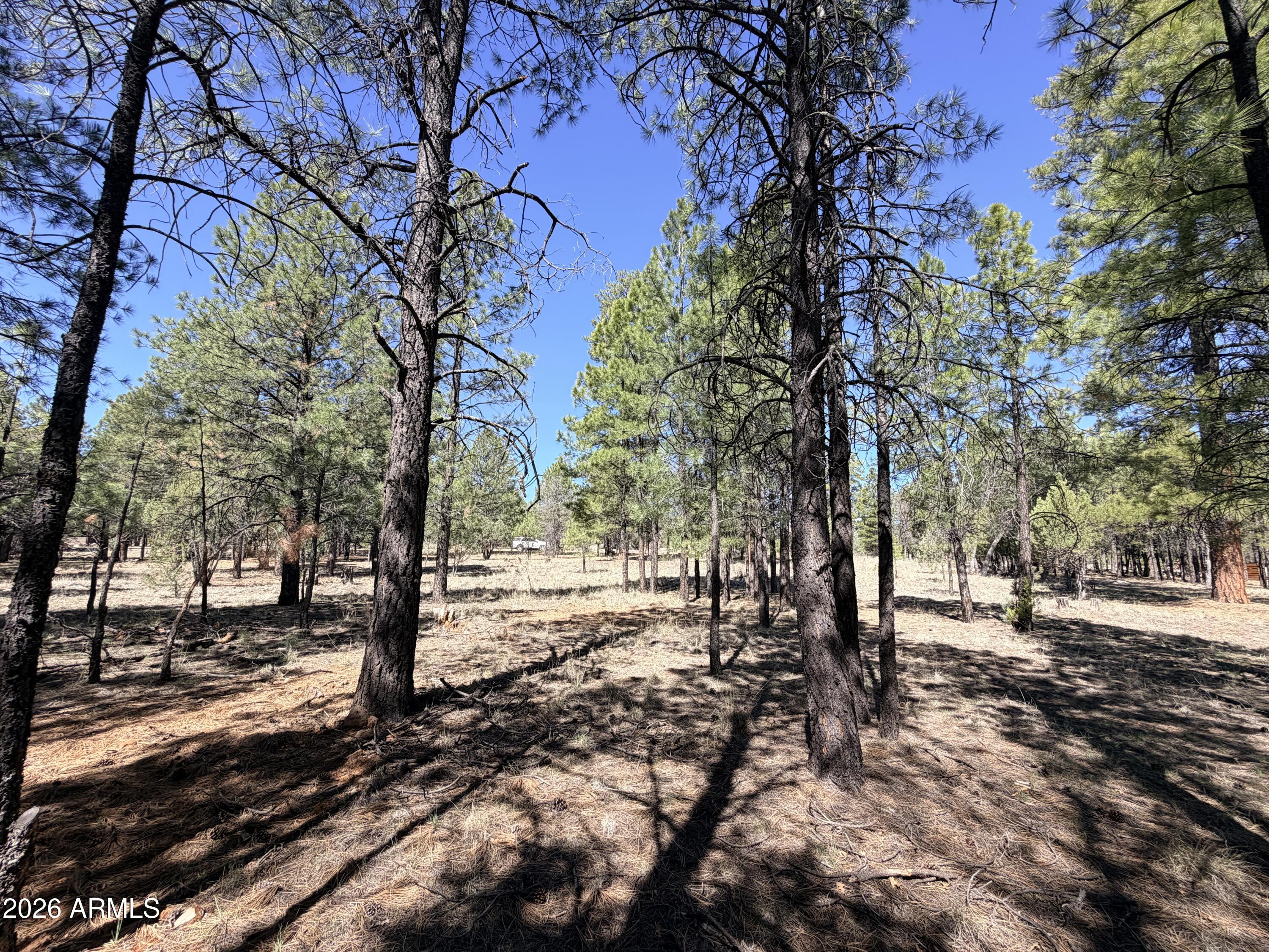 PINE CANYON 3 - Land