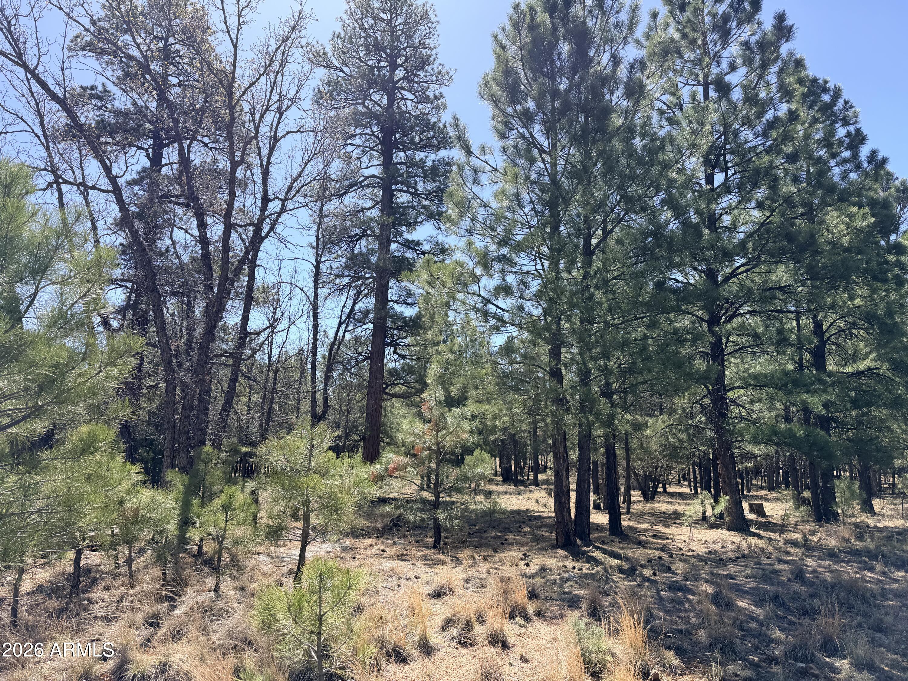 1755 SUGAR PINE Drive 232
