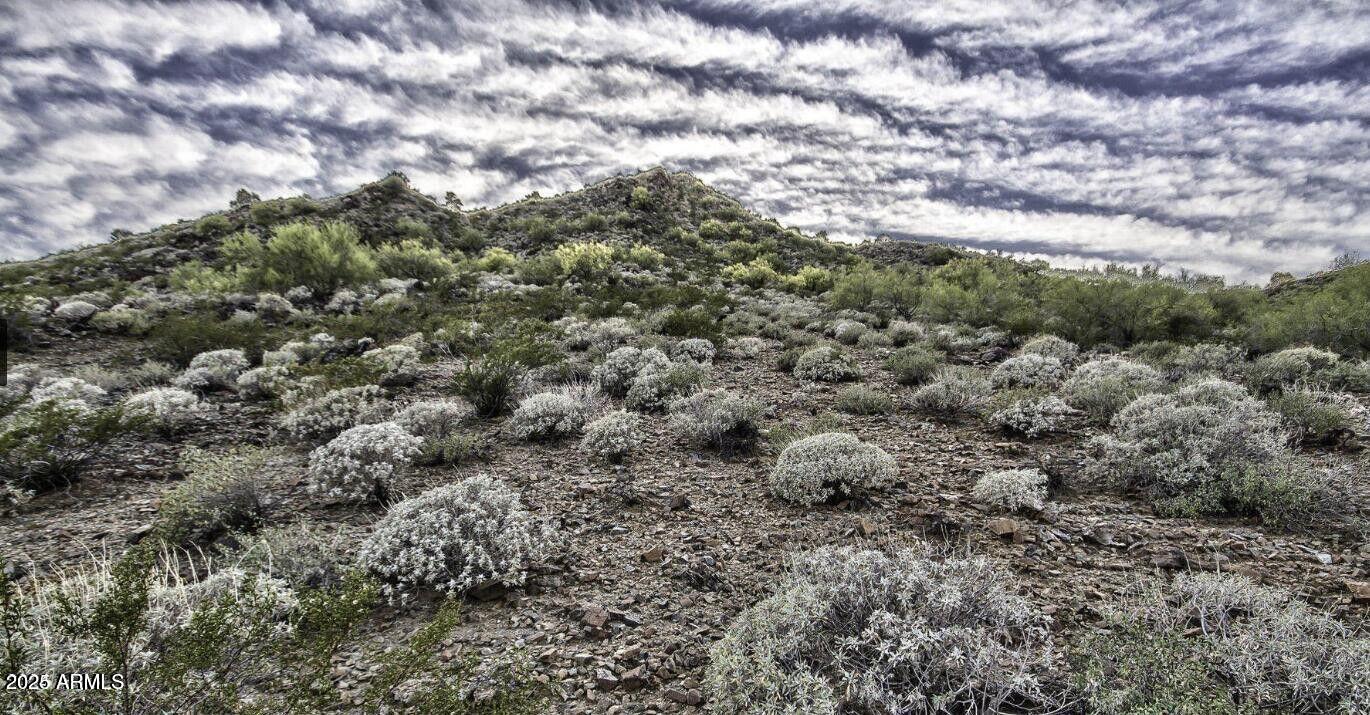 2703 E FRIESS Drive 5