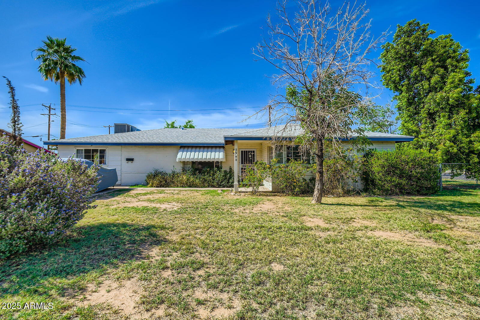3944 E OAK Street