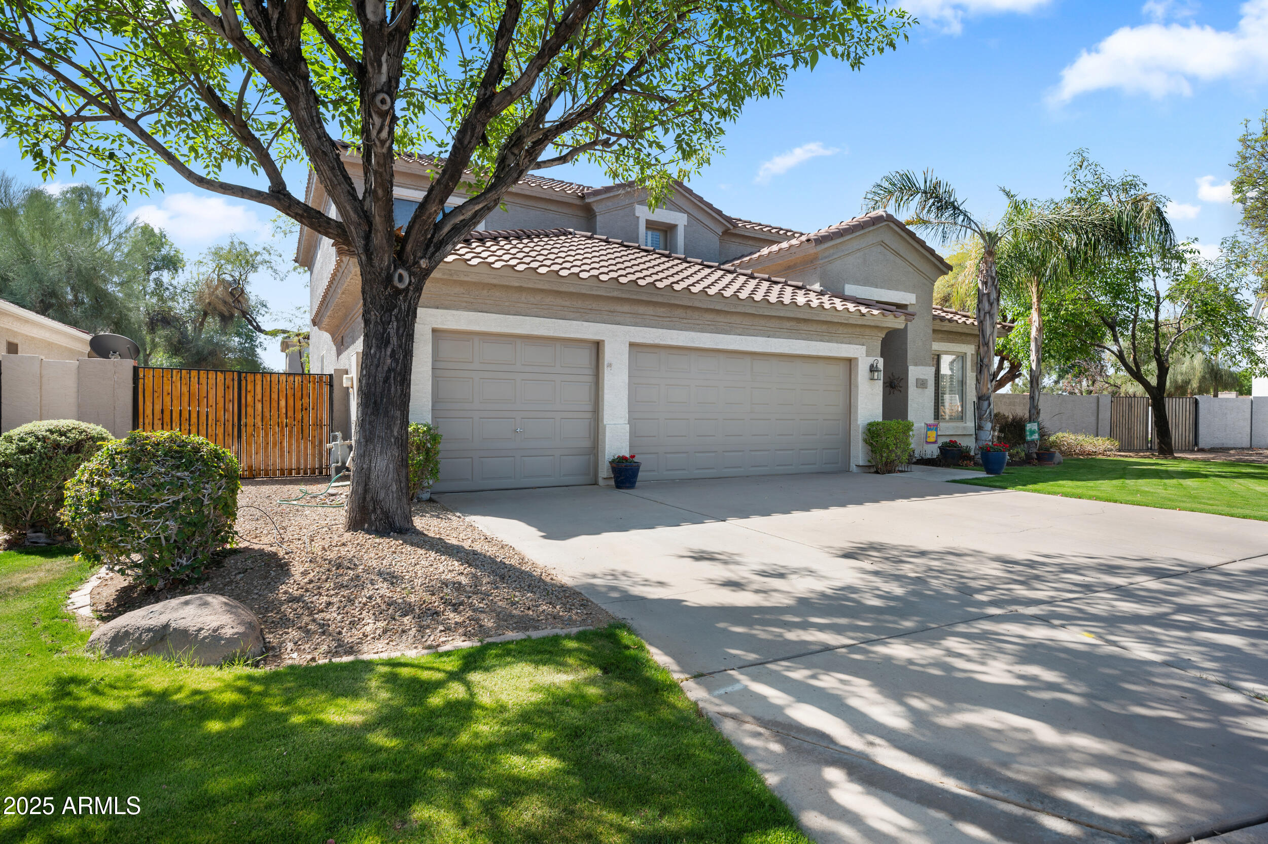 1427 E PALOMINO Drive