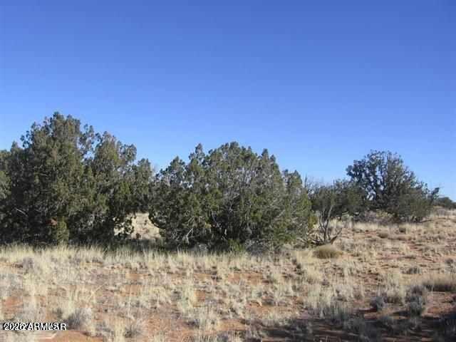 1543 Chevelon Avenue -