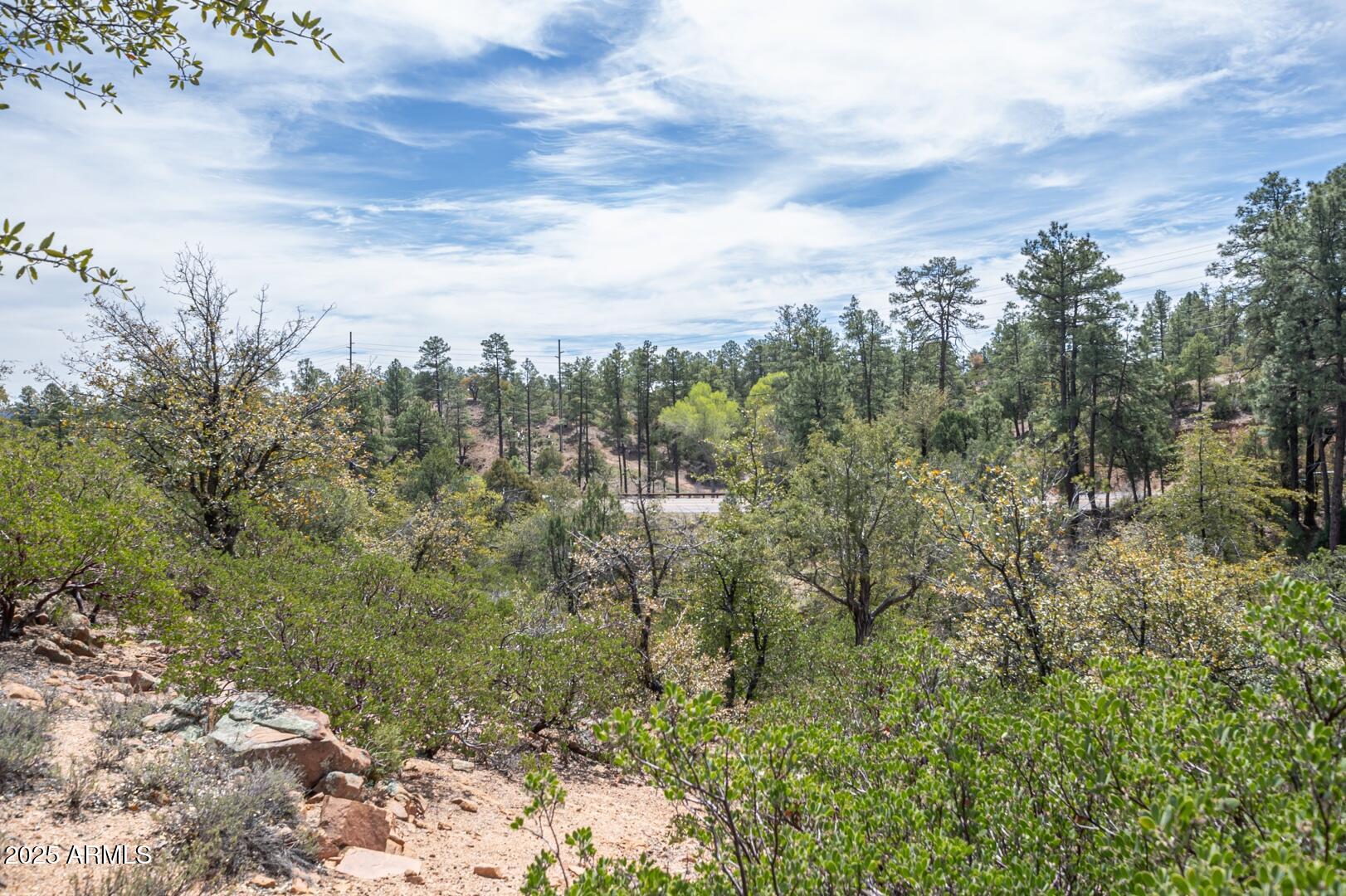 2501 E Feather Plume Court 635