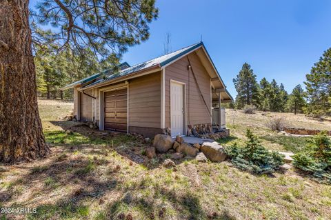 A home in Flagstaff