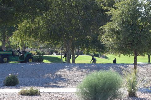 A home in San Tan Valley