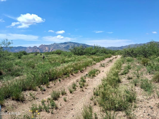 ADDRESS PRIVATE, COCHISE, AZ 85606 - Image 3c9dcde11efd3fffa8d1f181c6d683a0/4046307895
