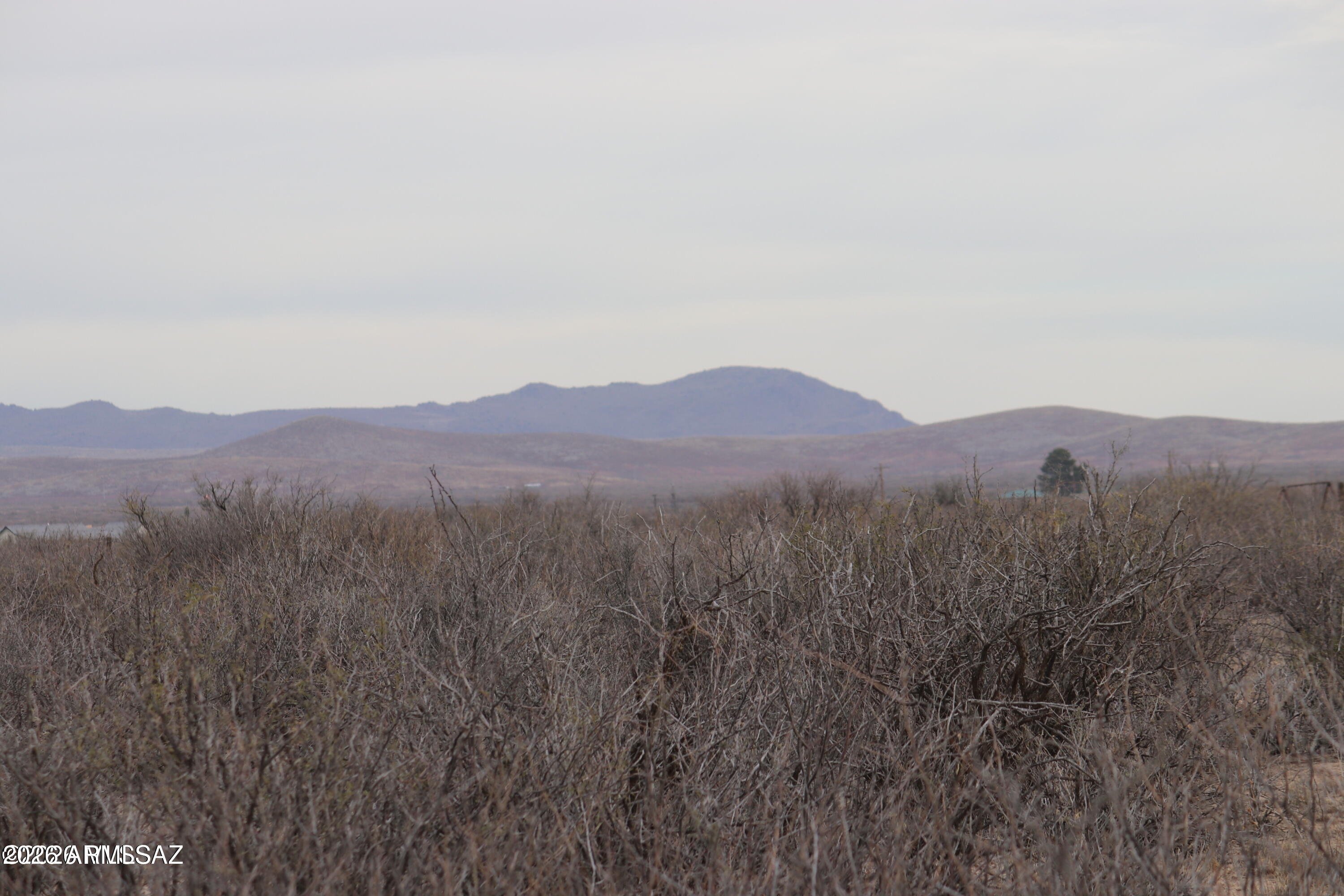 TBD Iron Rose Road -