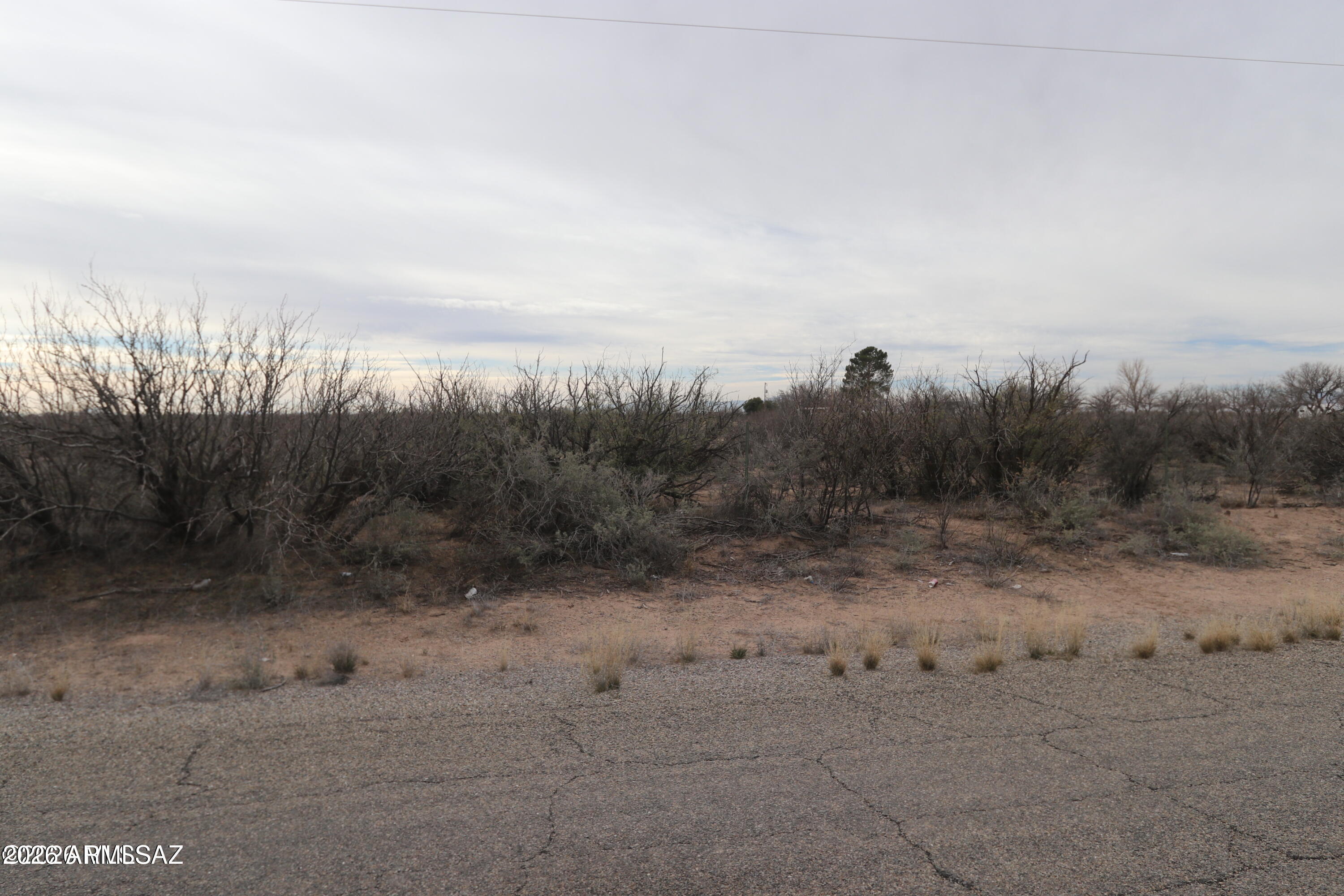 TBD Iron Rose Road -