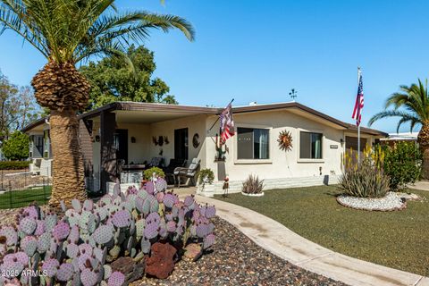 25626 S MONTANA Avenue Sun Lakes AZ 85248