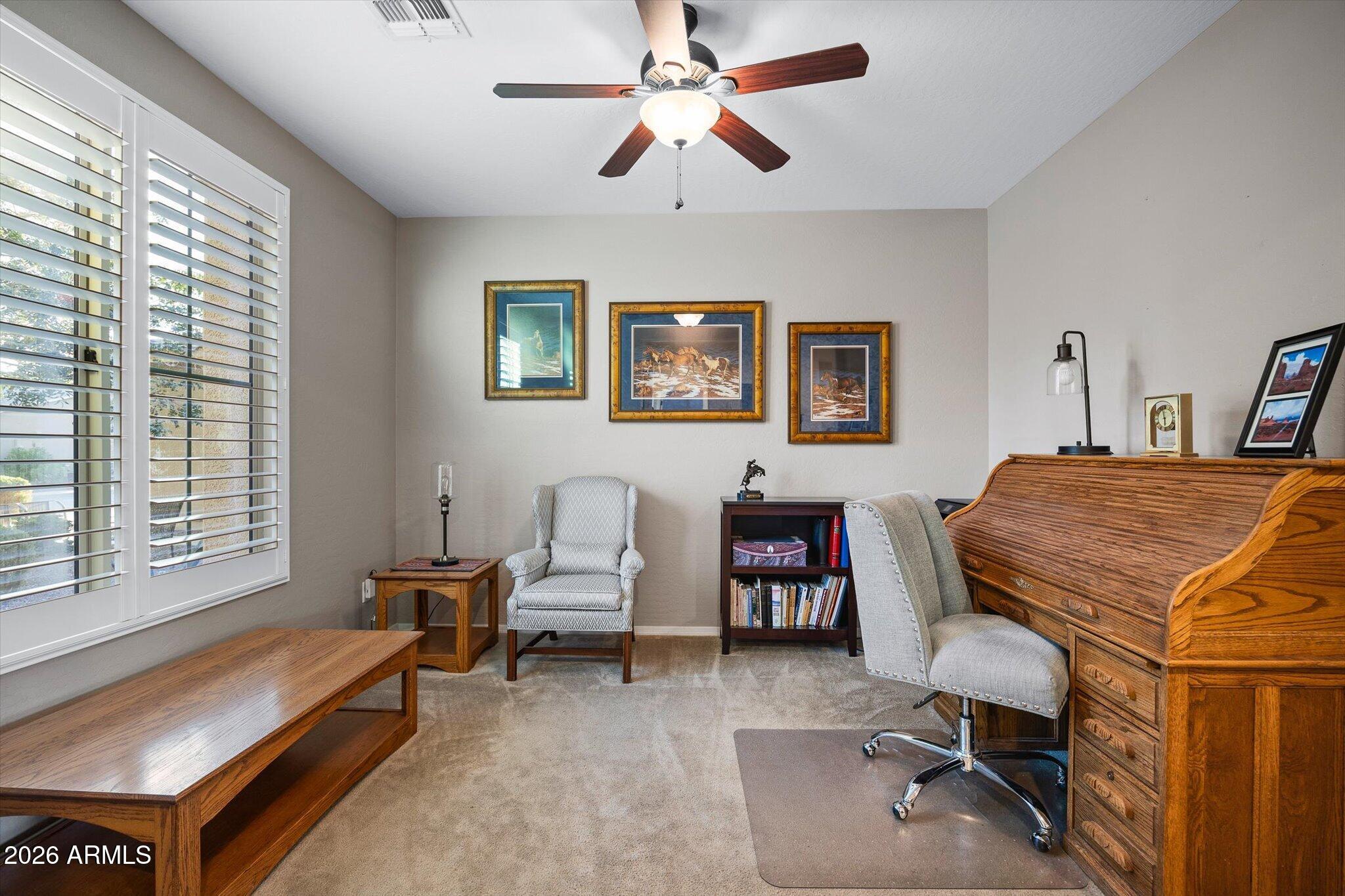 20381 N LEMON DROP Drive