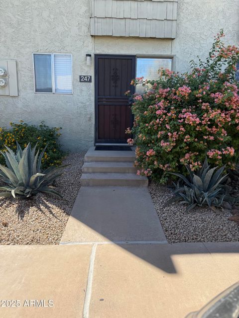 4630 N 68th Street 247 Scottsdale AZ 85251