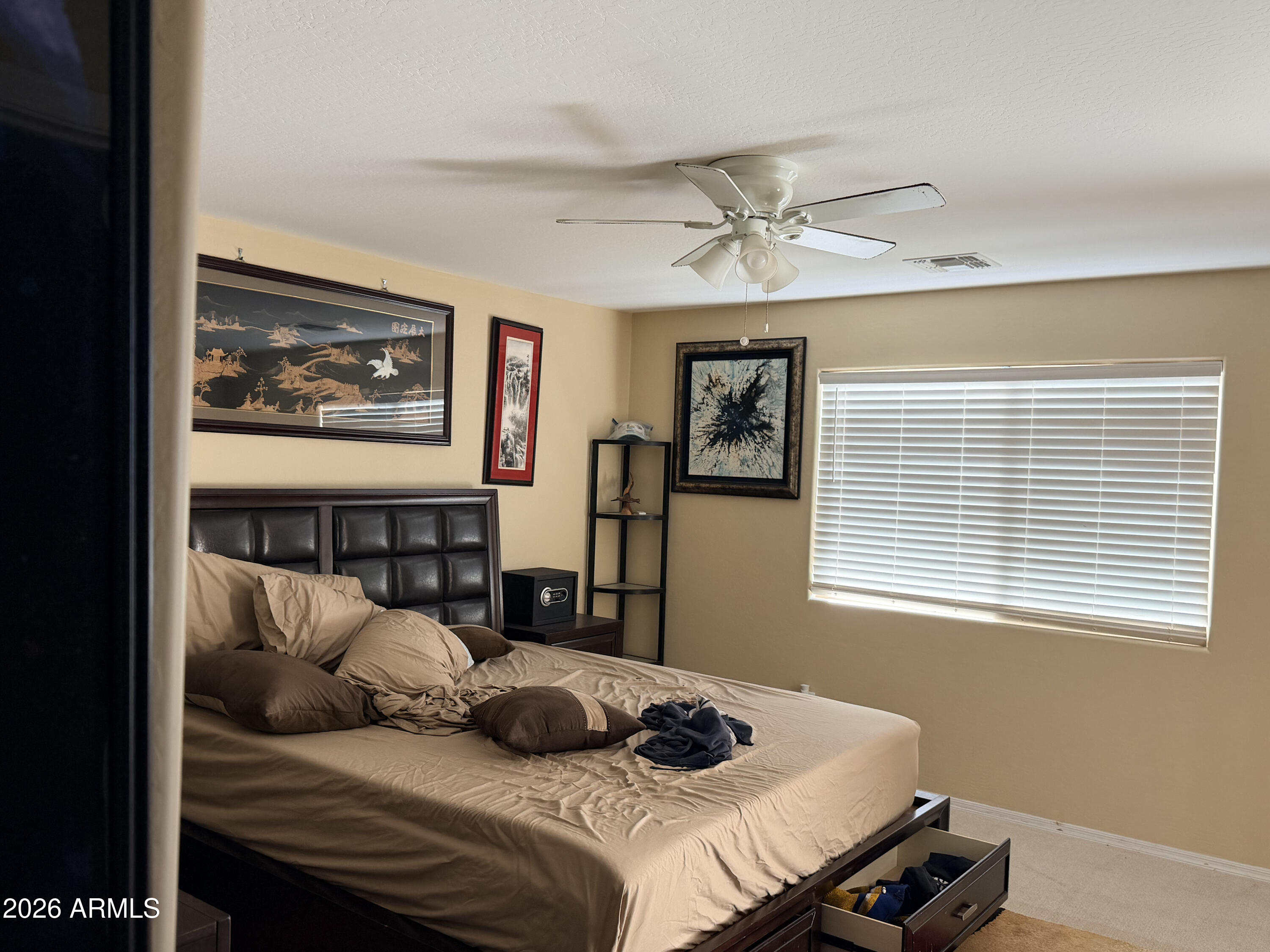 19560 N RICCARDO Way