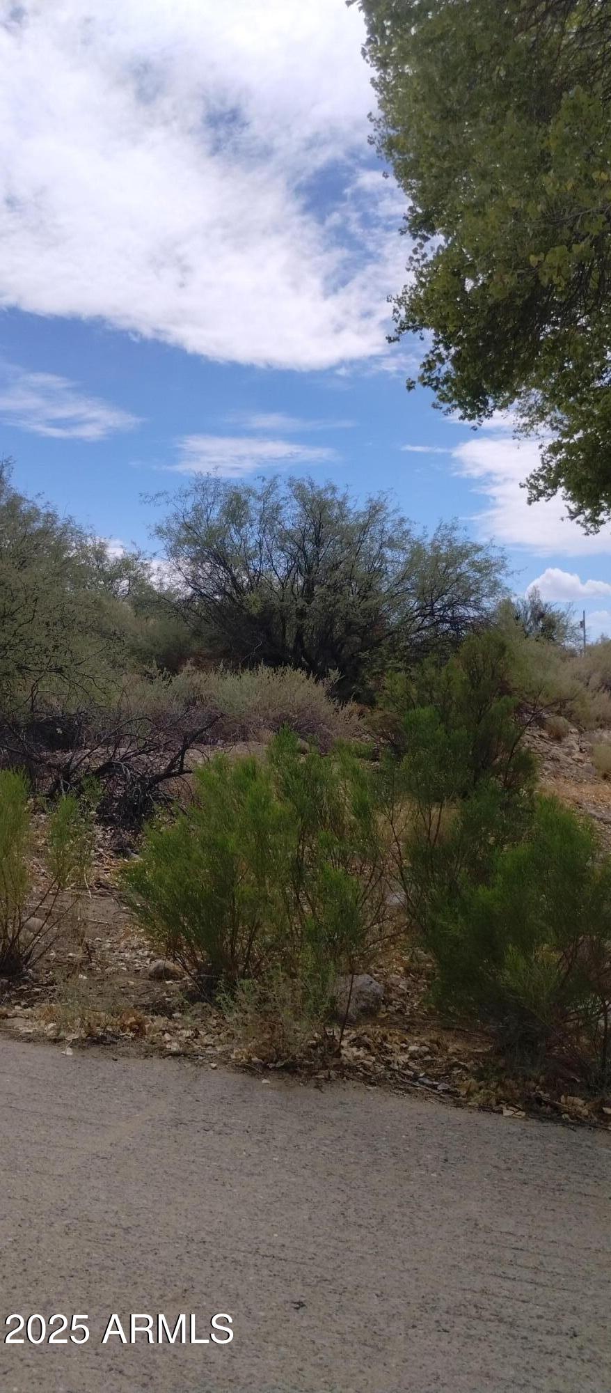 0000 W DOGGIE Drive 163