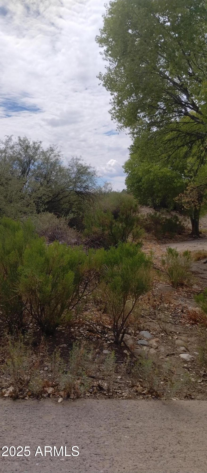 0000 W DOGGIE Drive 163