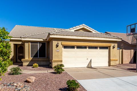 1552 E SHANNON Street Chandler AZ 85225