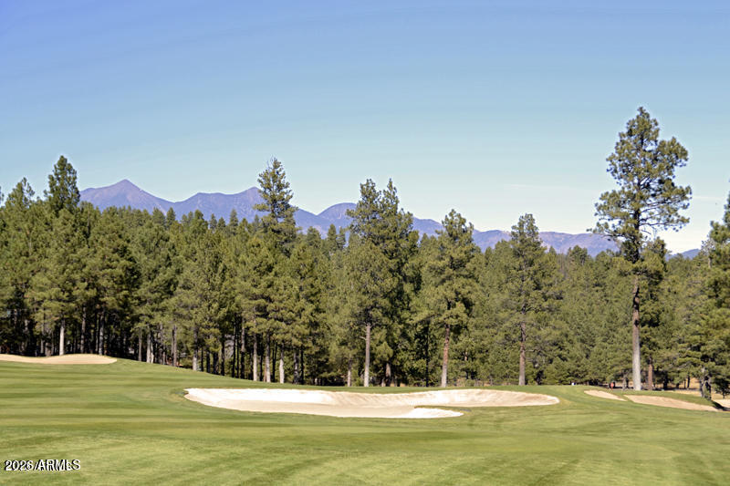 FOREST HIGHLANDS - Residential
