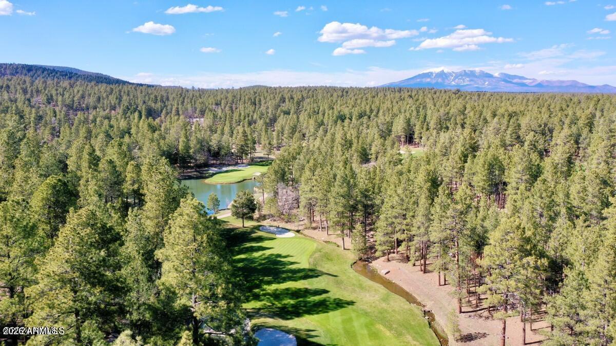 FOREST HIGHLANDS - Residential