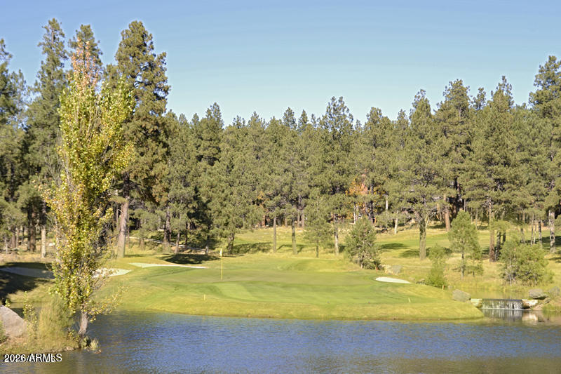 FOREST HIGHLANDS - Residential