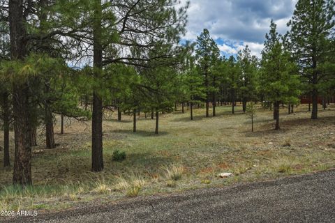 Photo of 2799 Cherokee Way #381, Happy Jack, AZ 86024 (MLS # 7047808)
