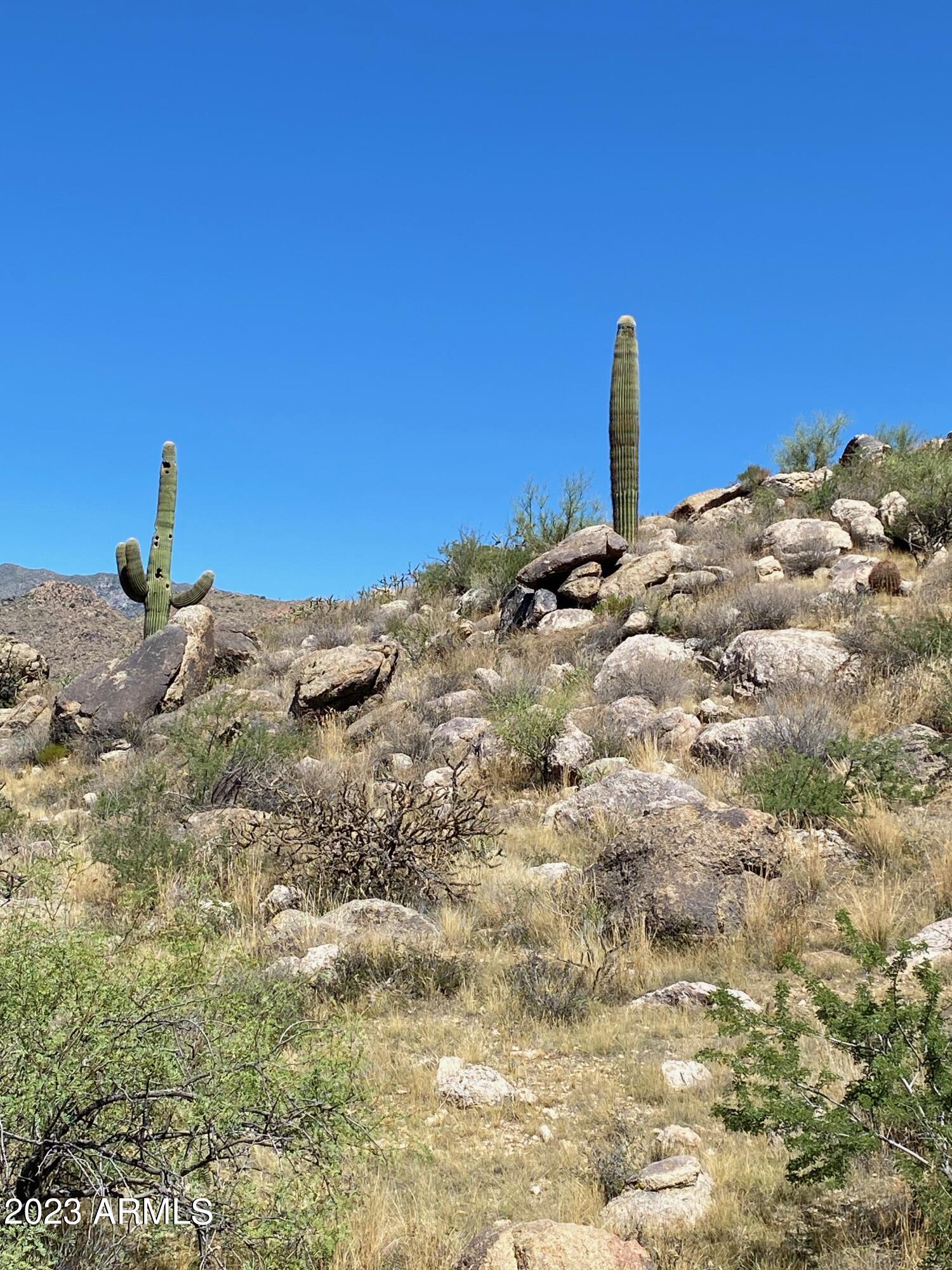 23325 W Gold Dollar Trail -