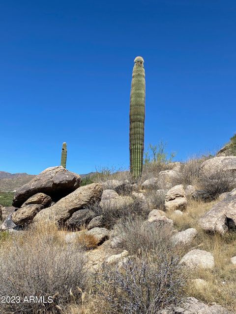 23325 W Gold Dollar Trail - Congress AZ 85332