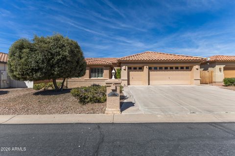 24218 S DESERT VALE Drive Sun Lakes AZ 85248