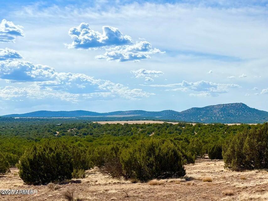 TBD Co Rd N3109 9.11 Acres -- -