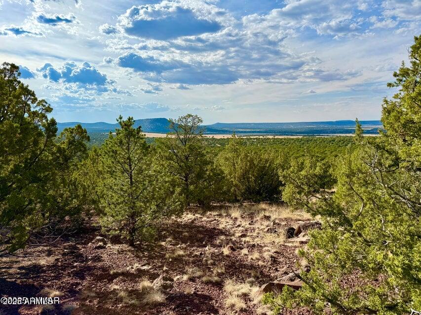 TBD Co Rd N3109 9.11 Acres -- -