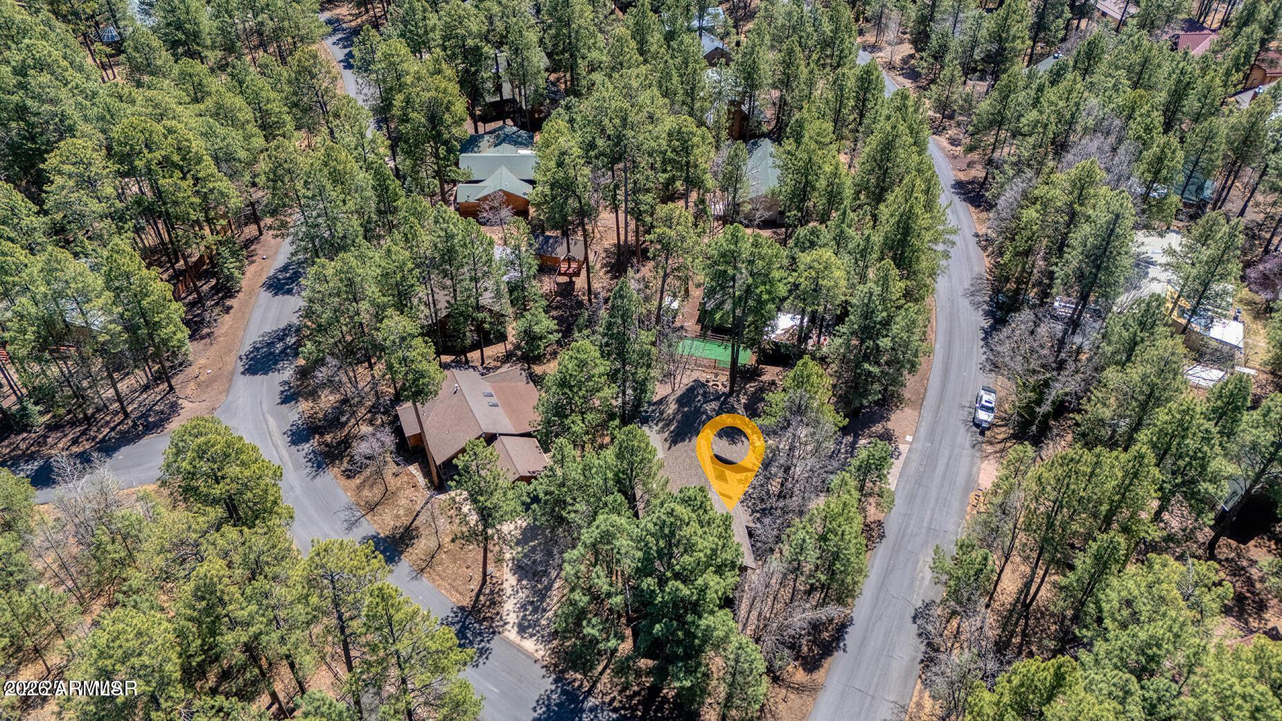 4816 BLACK PANTHER Loop